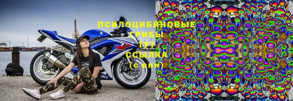крисы Богданович