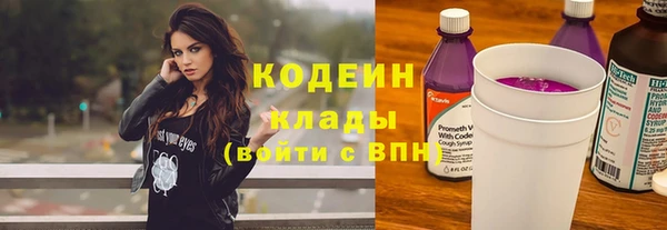 крисы Богданович